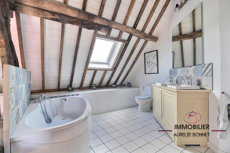 Maison ancienne - 380 m² - 12 pièces