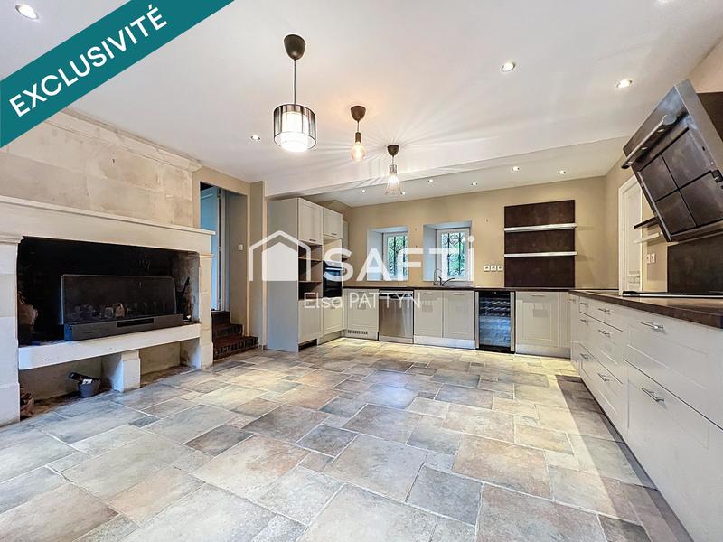 Maison de maîtres - 367 m² - 11 pièces