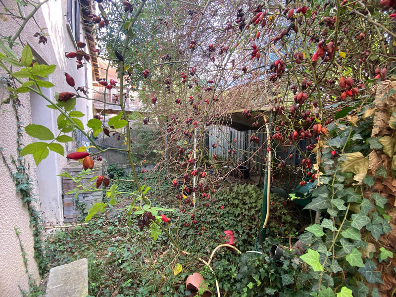 Maison - 108 m² - 8 pièces