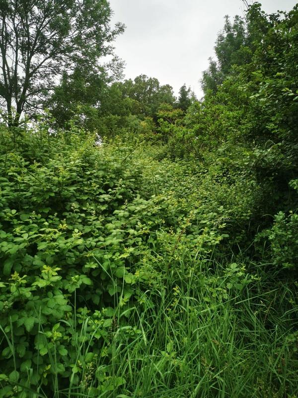 Terrain de loisirs - 9 295 m²