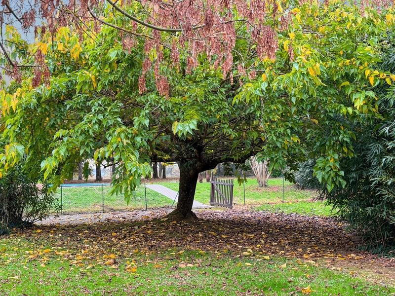 Maison en pierre - 302 m² - 8 pièces