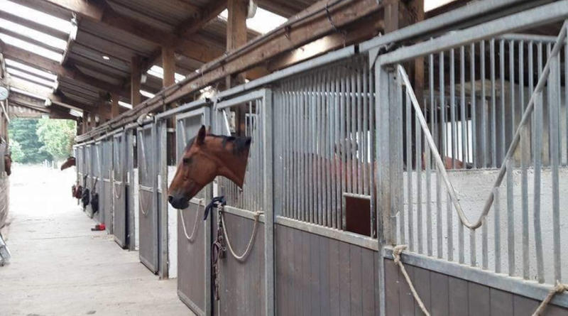 Maison de domaine équestre - 120 m² - 5 pièces