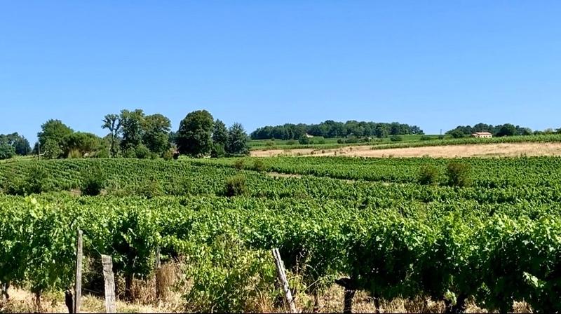 Maison en pierre - 140 m² - 6 pièces