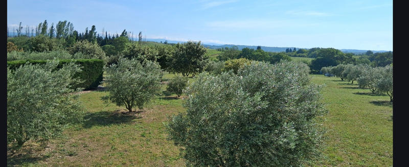 Terrain de loisirs - 11 465 m²