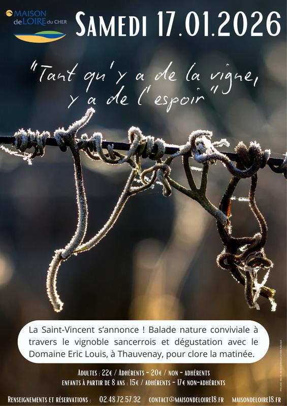 [Saint Vincent]: "Tant qu'il y a de la vigne, y a de l'espoir"