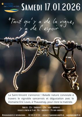 [Saint Vincent]: "Tant qu'il y a de la vigne, y a de l'espoir"