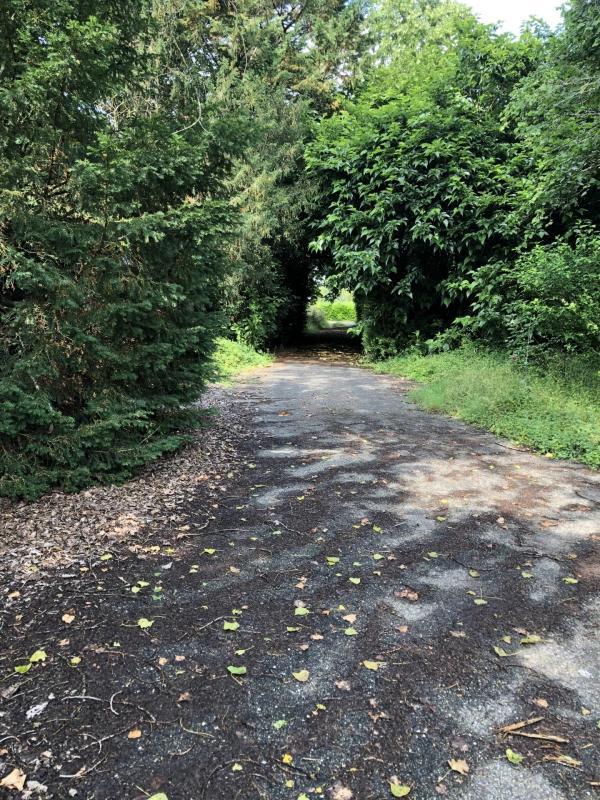 Entrepôt - 500 m² - 1 pièce