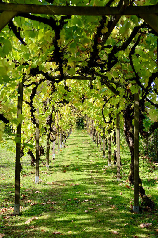 Maison - 221 m² - 5 pièces