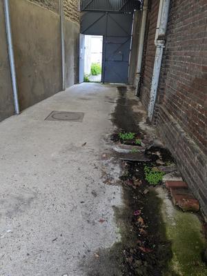 Local commercial - 500 m² - 10 pièces