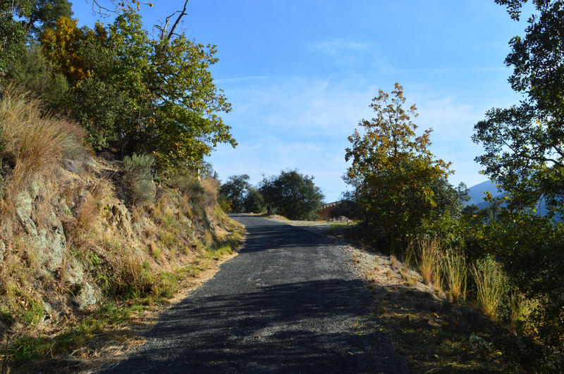 Terrain - 18 305 m²