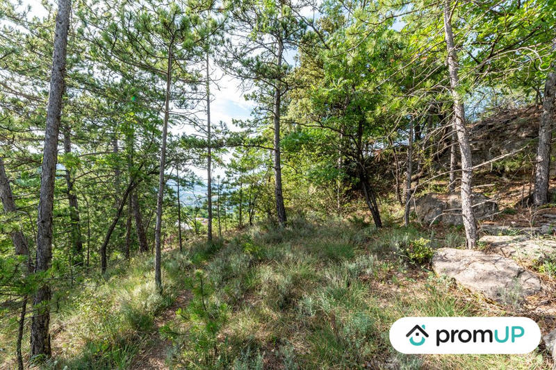 Terrain - 48 000 m²