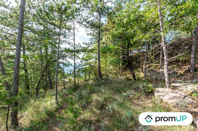 Terrain - 48 000 m²