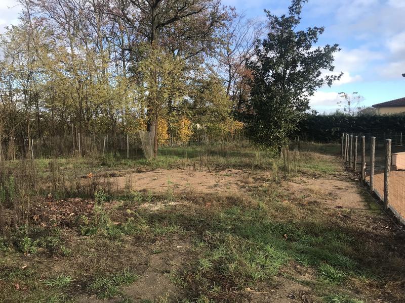 Terrain - 730 m²