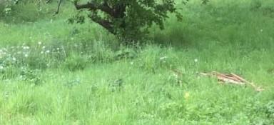 Terrain constructible - 495 m²