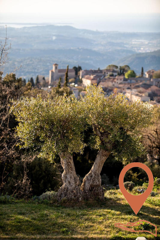 Viager - Villa - 620 m² - 9 pièces