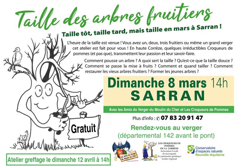 Taille des arbres fruitiers