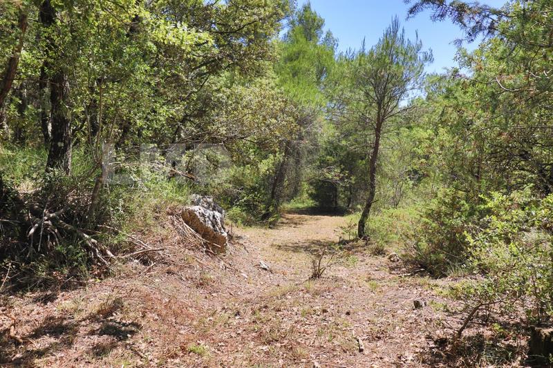 Terrain - 34 000 m²