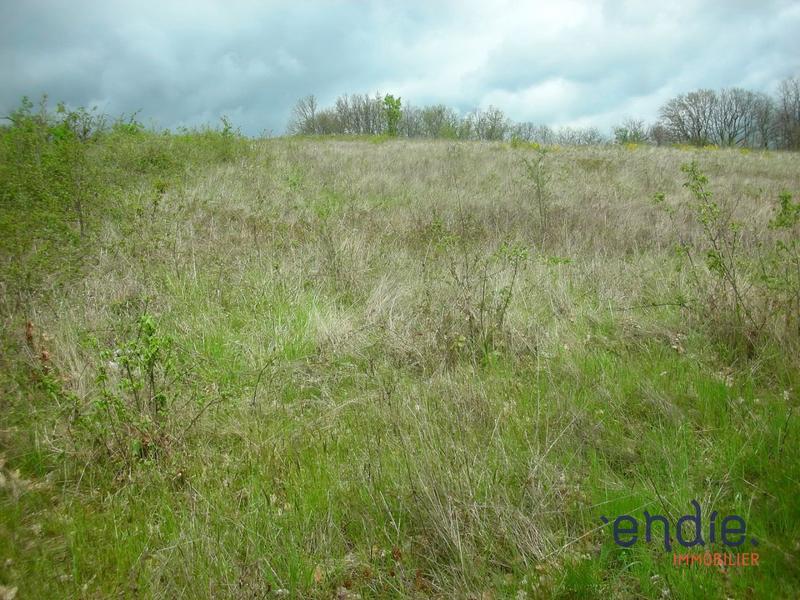 Terrain - 21 946 m²