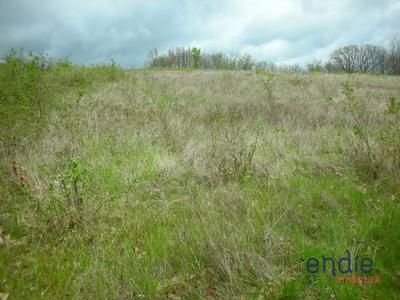 Terrain - 21 946 m²