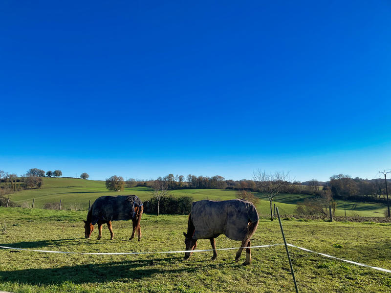 Maison - 200 m² - 8 pièces