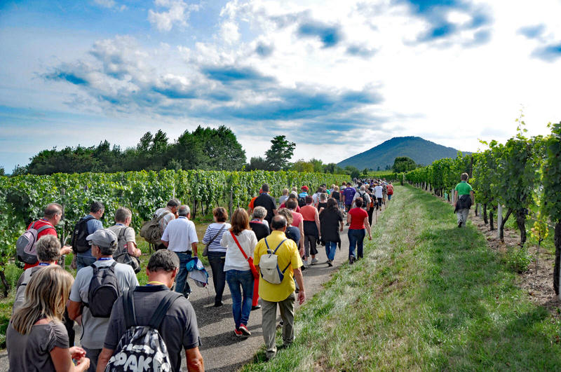 Marche gourmande italienne