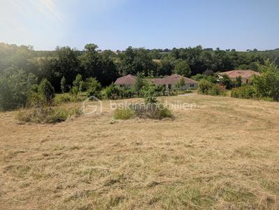 Terrain - 1 594 m²