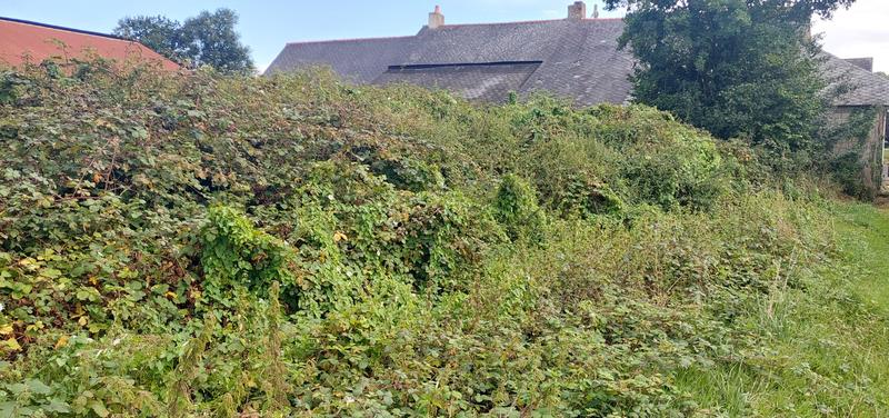 Maison ancienne - 200 m² - 3 pièces