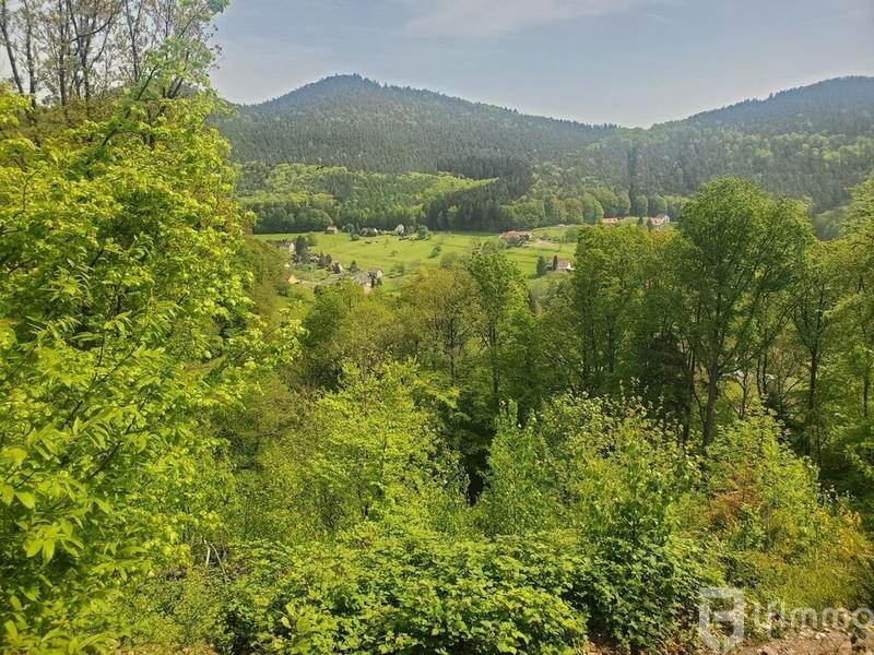 Terrain constructible - 1 909 m²