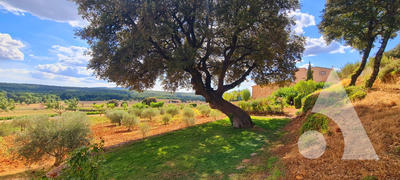 Château - 1 200 m² - 20 pièces