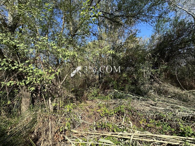 Terrain de loisirs - 4 800 m²