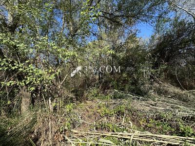 Terrain de loisirs - 4 800 m²