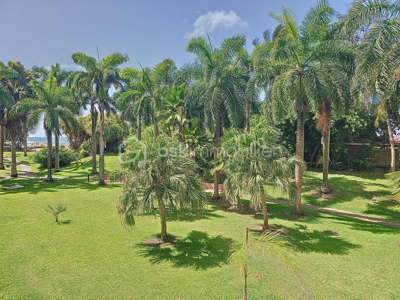 Appartement - 19 m² - 1 pièce