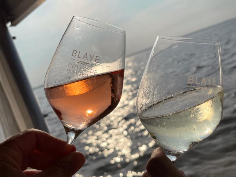 Croisière du dimanche sur l'estuaire à Terres d'Oiseaux