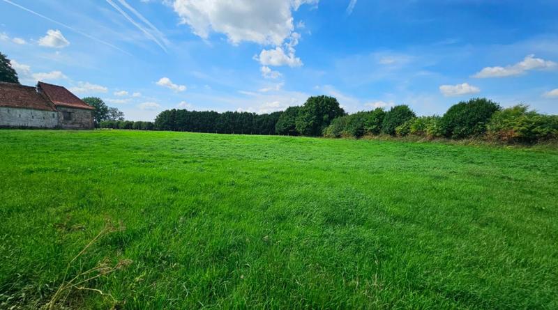 Terrain constructible - 2 251 m²