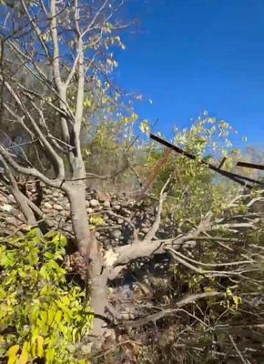 Appartement - 163 m² - 5 pièces