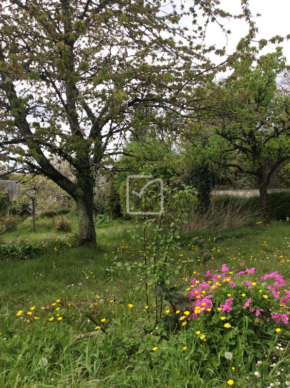 Maison de village - 152 m² - 7 pièces