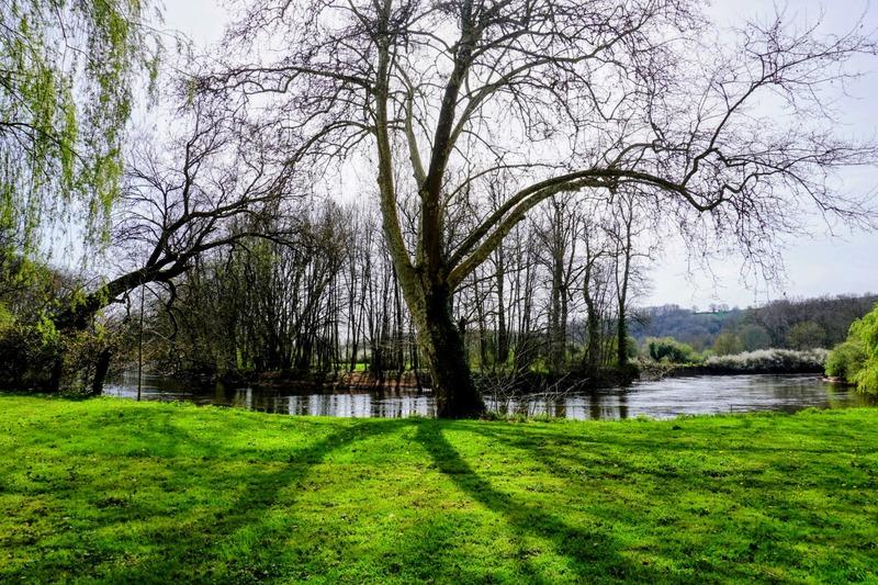 Local commercial - 260 m² - 4 pièces