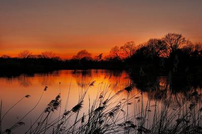 Le Monde de la Nuit à la Réserve de l'Etang de la Mazière
