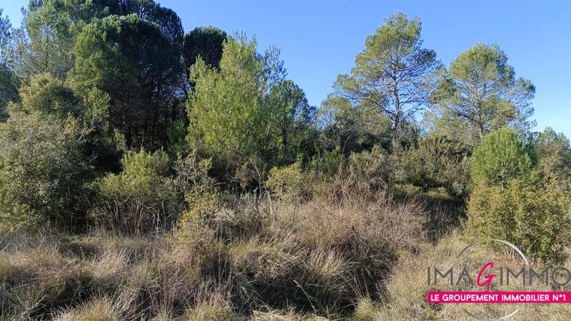 Terrain agricole - 5 224 m²