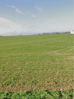 Terrain constructible - 340 m²