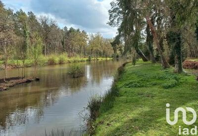 Terrain - 200 000 m²