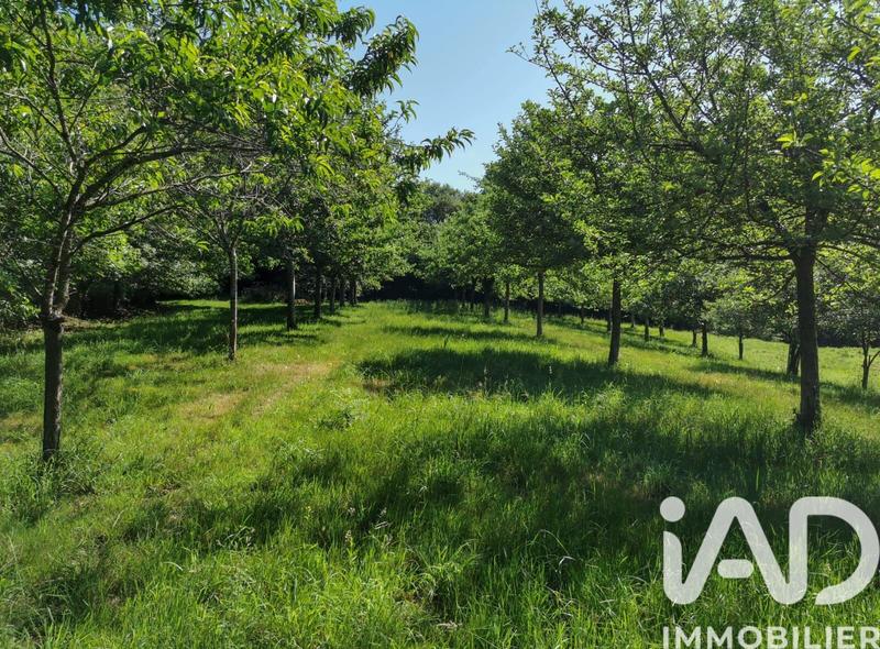 Terrain agricole - 15 000 m²