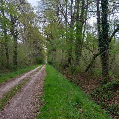 Terrain - 464 000 m²