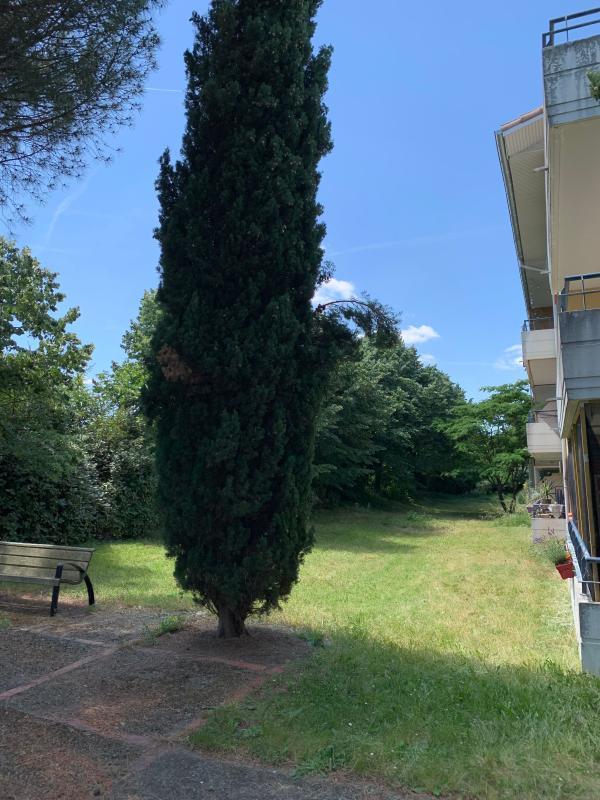 Appartement - 54 m² - 3 pièces