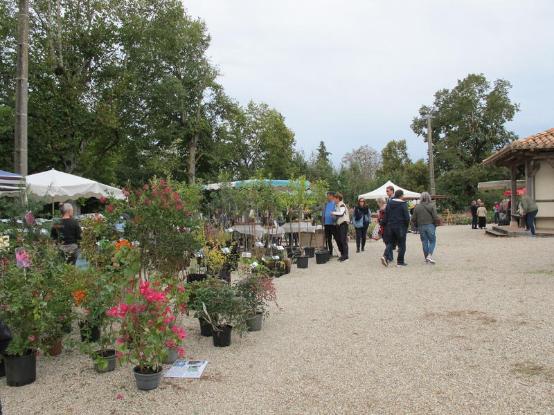 Automnale de Monfort 2026