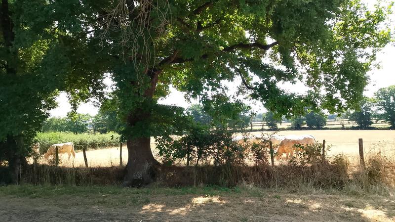 Maison - 290 m² - 7 pièces