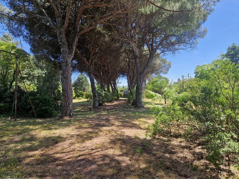 Maison bourgeoise - 290 m² - 12 pièces