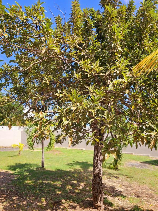 Propriété - 211 m² - 7 pièces