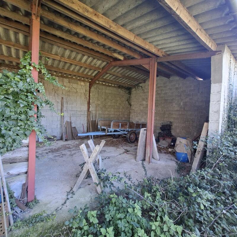 Hangar - 307 m² - 1 pièce