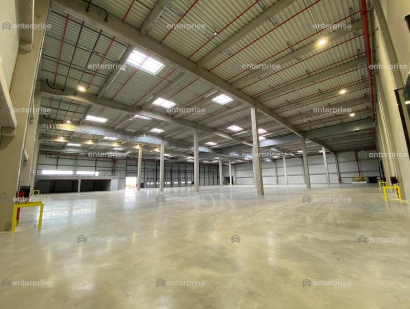 Entrepôt - 2 830 m²